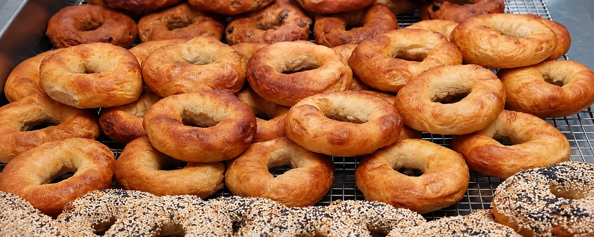 Sourdough bagels with a variety of toppings, cooling on racks.